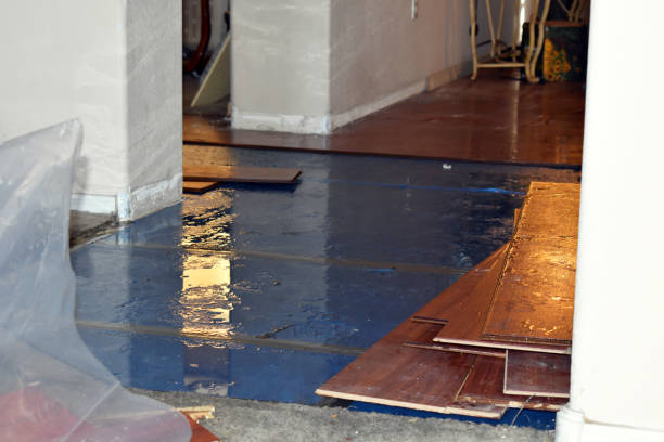Professional Burst Pipe Cleanup technician working in Heber, UT